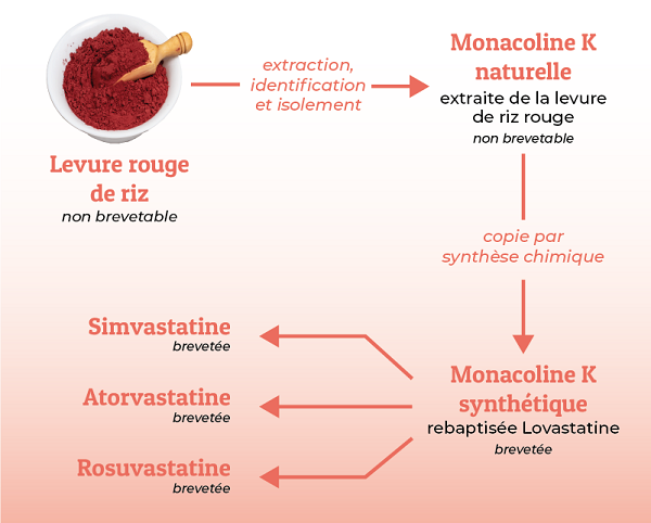 Monacoline K naturelle et synthétique